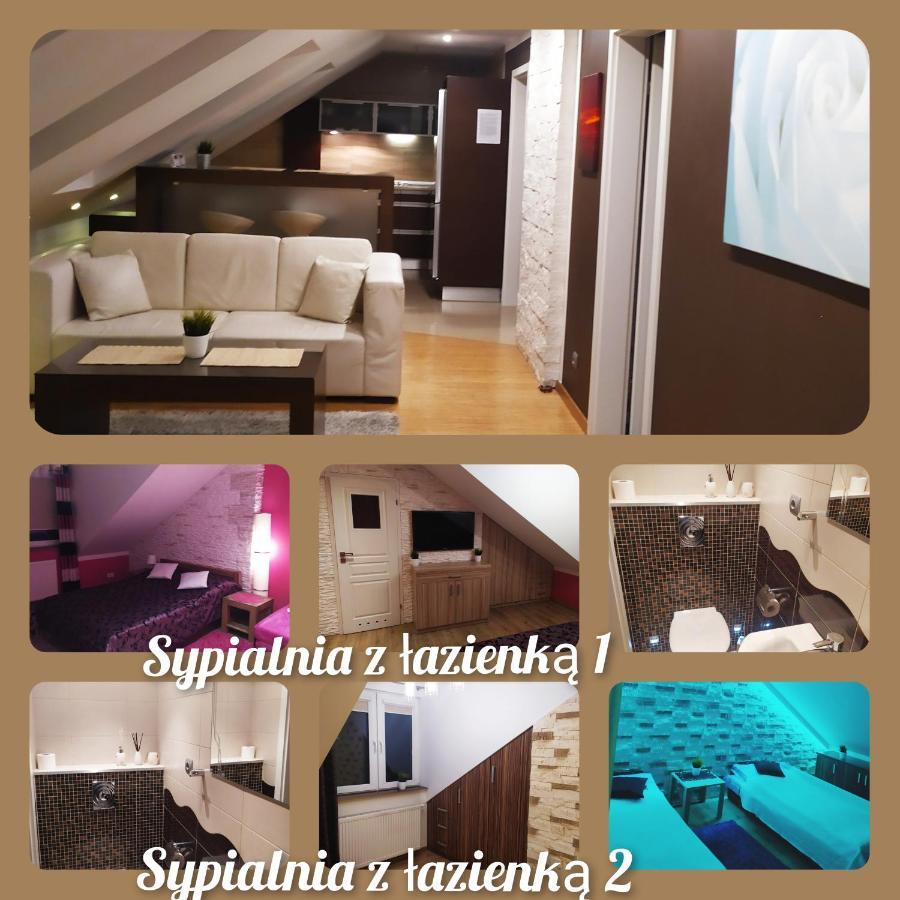 Homestay Port *