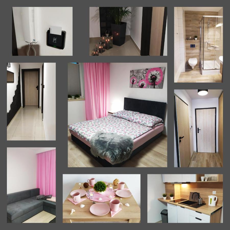 Port Homestay *